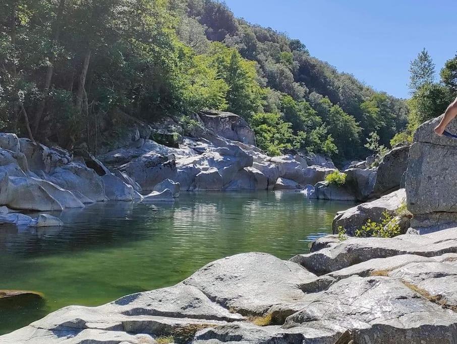 Gite Des 3 Vallees - Le Soleil Des Cevennes Saint-Jean-du-Gard Exterior foto