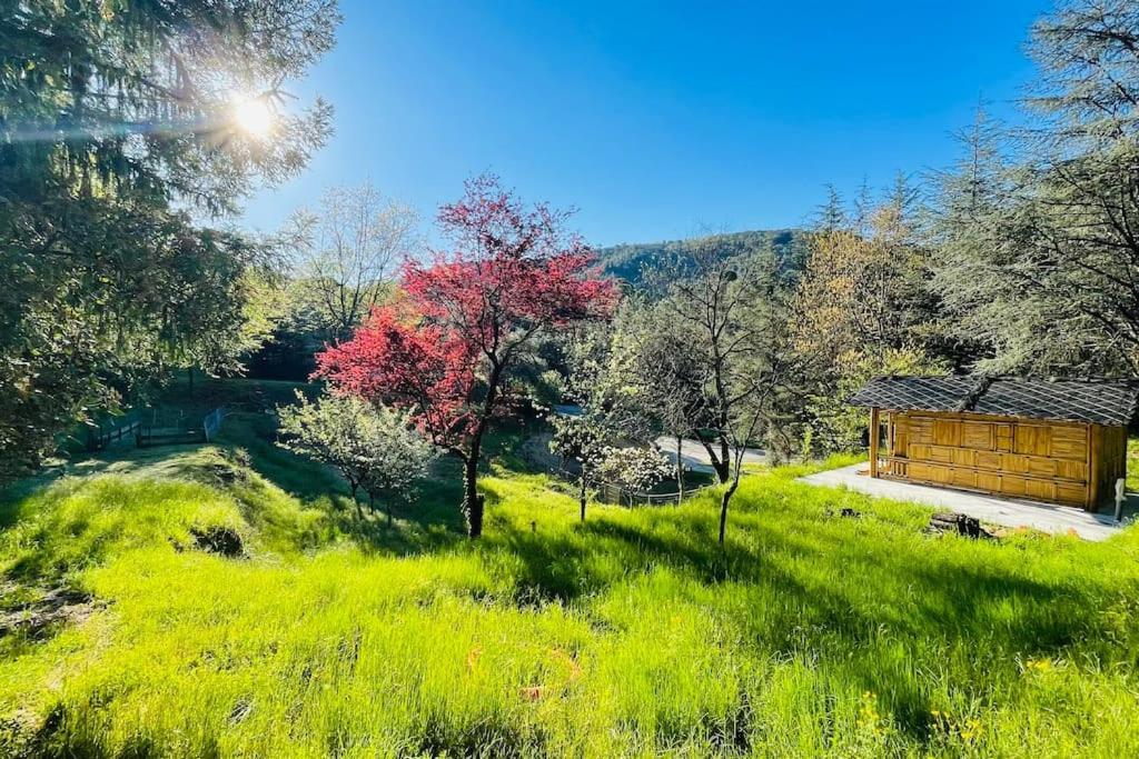 Gite Des 3 Vallees - Le Soleil Des Cevennes Saint-Jean-du-Gard Exterior foto