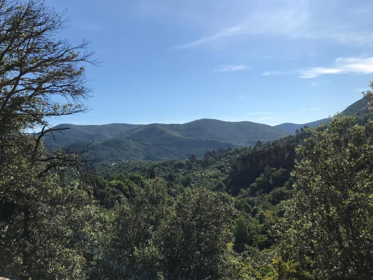 Gite Des 3 Vallees - Le Soleil Des Cevennes Saint-Jean-du-Gard Exterior foto