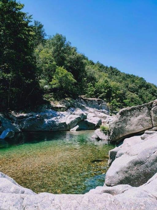 Gite Des 3 Vallees - Le Soleil Des Cevennes Saint-Jean-du-Gard Exterior foto