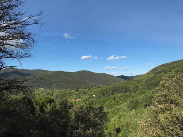 Gite Des 3 Vallees - Le Soleil Des Cevennes Saint-Jean-du-Gard Exterior foto